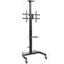 Aisens Soporte de Suelo ECO FT70TE-169 con Ruedas y Manivela para TV 37-70 pulg.